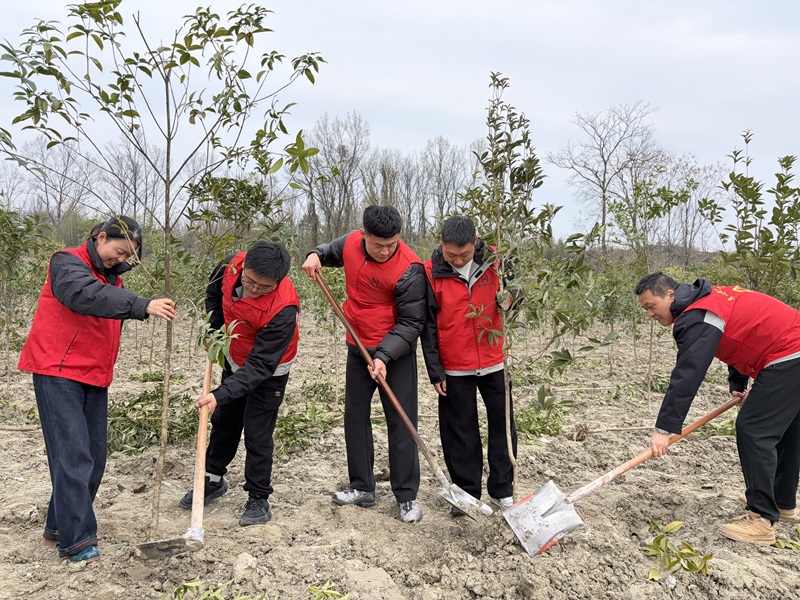 植树1.jpg